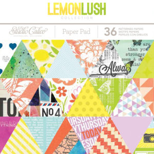 Набір паперу Lemonlush, 15х15 см, Studio Calico, 332227
