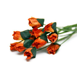 Букет троянд Petite Rosebud Apricot, 12 шт, BRB1494AP