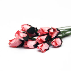 Букет троянд Petite Rosebud Champagne Pink, 12 шт, BRB1494CP