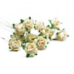 Букет троянд Open Rose Cream, 12 шт, BRB1495CM