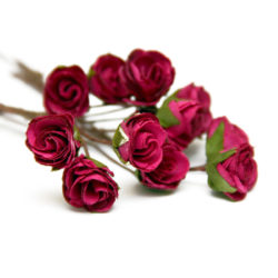 Букет троянд Open Rose Fuchsia, 12 шт, BRB1495FU