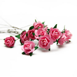 Букет троянд Open Rose Pink, 12 шт, BRB1495PK