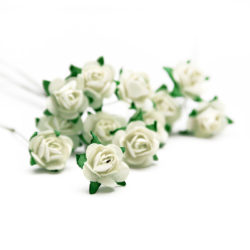 Букет троянд Open Rose White, 12 шт, BRB1495WH
