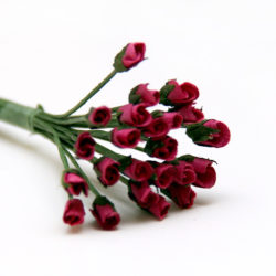 Букет троянд Fuchsia Minute Rosebuds, 24 шт, B1699FU
