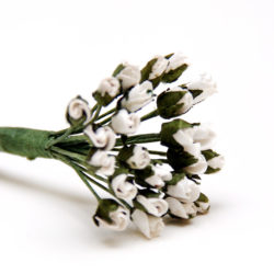 Букет троянд White Minute Rosebuds, 24 шт, B1699WH