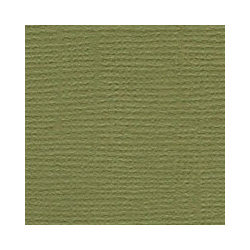 Аркуш картону Palo Verde, Bazzill Basics, 30x30 см, BZCL590