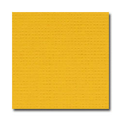 Аркуш картону Desert Marigold, Bazzill Basics, 30x30 см, BZCL339