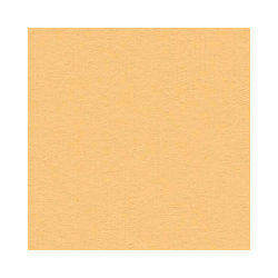 Аркуш картону Citrus, Bazzill Basics, 30x30 см, BZCL347